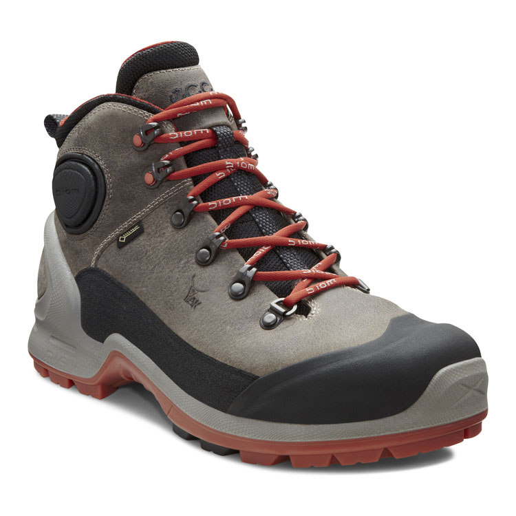 Ecco biom terrain sales birch