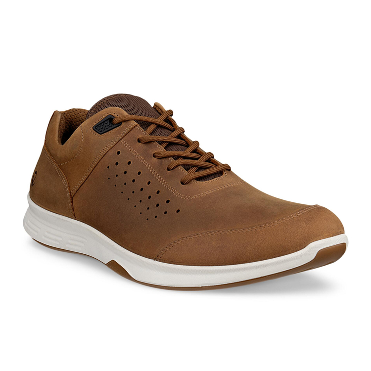 Кроссовки EXCEED M-коричневый